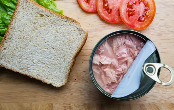 باقی مانده کنسروها را چگونه نگهداری کنیم