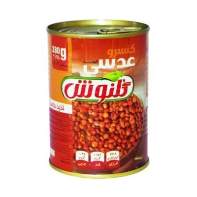 کنسرو عدسی 420 گرمی دلپذیر