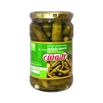 خیارشور ویژه 650 گرمی گلنوش