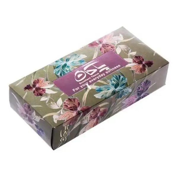 24100 دستمال200 برگ پاکان - Image 1
