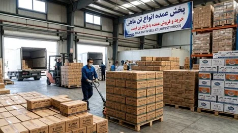 پخش عمده تن ماهی با کیفیت - انواع تن ماهی در پخش عظیمی البرز