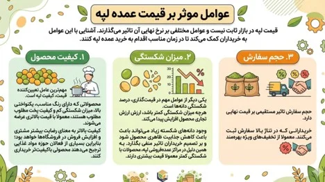 پخش عمده لپه با کیفیت - انواع لپه در پخش عظیمی البرز