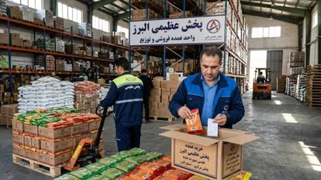 پخش عمده عدس با کیفیت - انواع عدس ایرانی و کانادایی در پخش عظیمی البرز